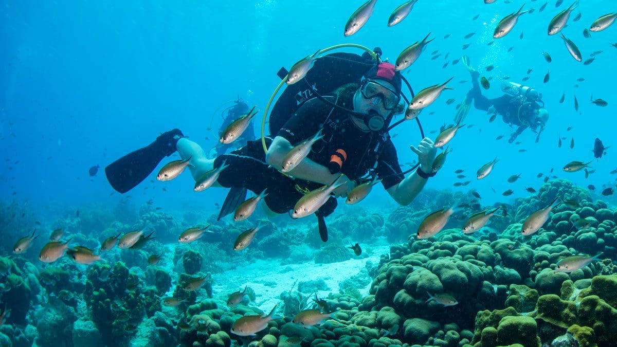 Buoyancy, Kids Sea camp, scuba training for kids