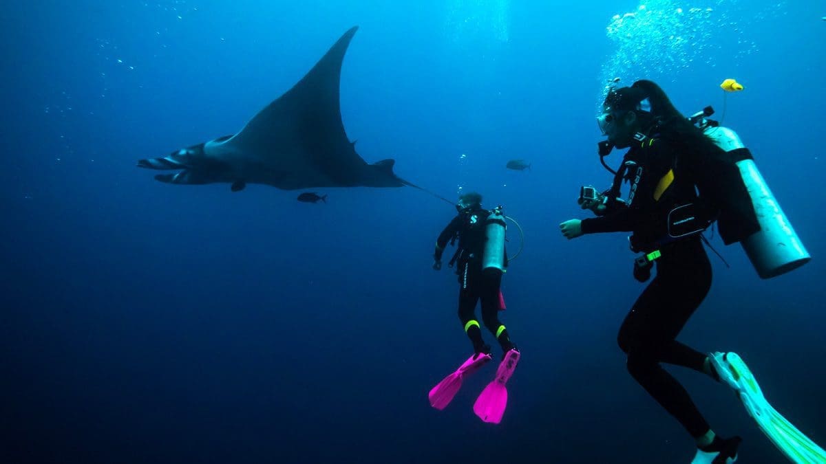 Socorro, Oceanic Manta, Kids Sea Camp