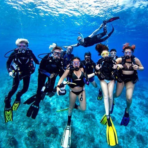 “Diving into Memories: The Danks Family’s Legacy with KSC”