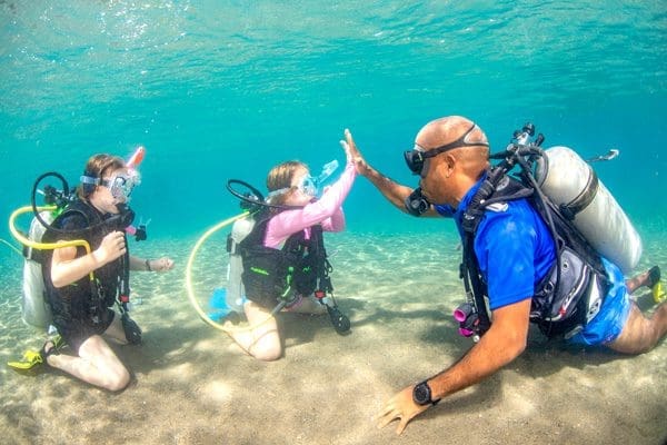 The new PADI Seal Team program 2026