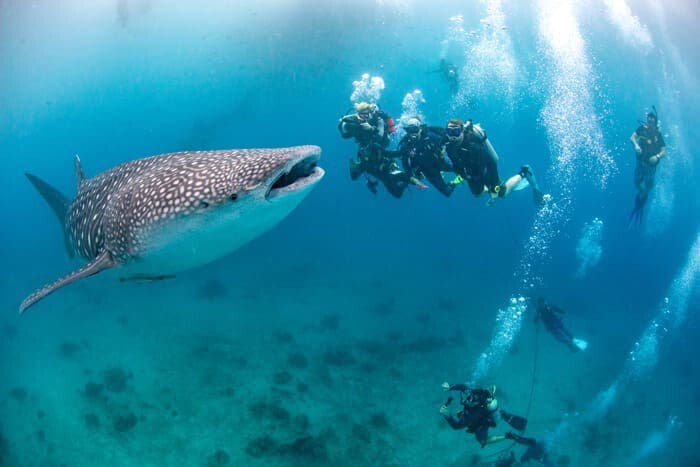 Philippines: The jewels of the visayas sea