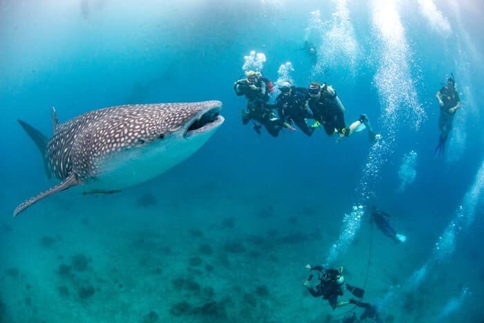 Philippines: The jewels of the visayas sea