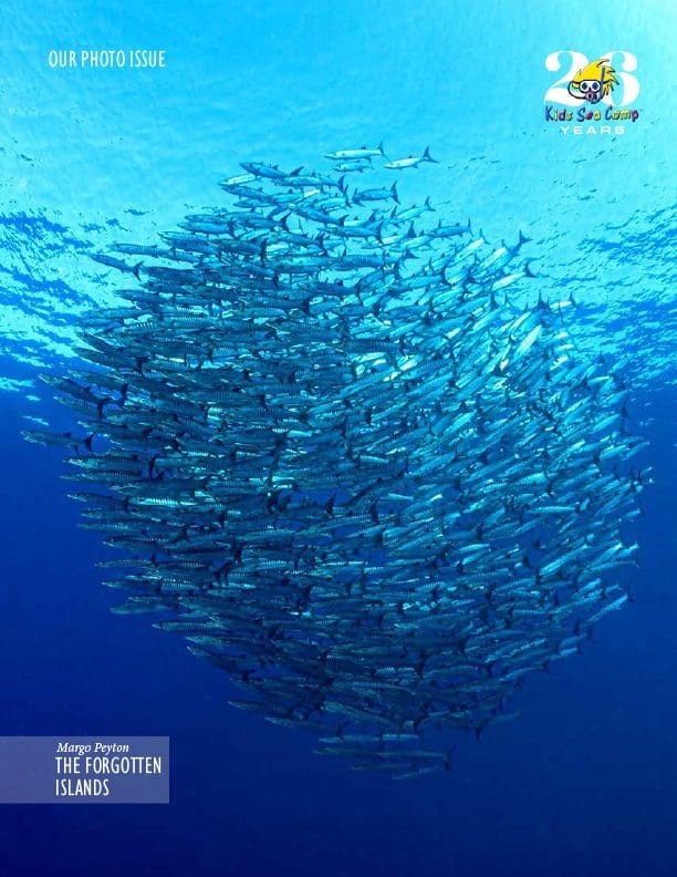 dive catalog, Kids and diving, Margo Peyton, Family Dive Adventures, Scuba Diving, Kids Sea Camp, Kids and scuba