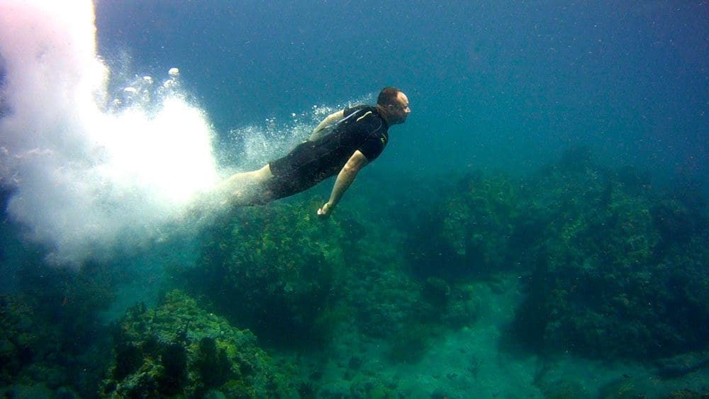 Paul Zanelli: Diving back into life