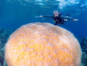 he Arenui, Empty Nesters, Kids and diving, luxury liveaboard, Indonesia diving